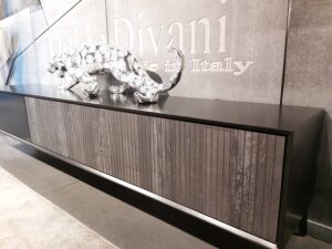 מידע מקצועי