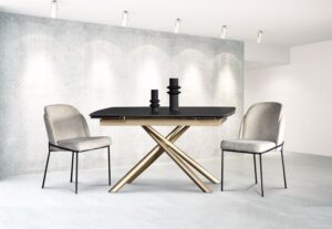 מידע מקצועי