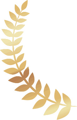 אלמנט עיצובי